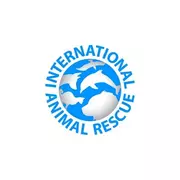 International Animal Rescue