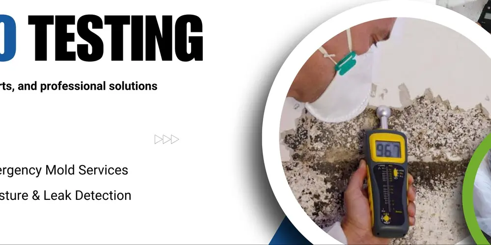 Best Mold Testing Service in Woodland Hills CA